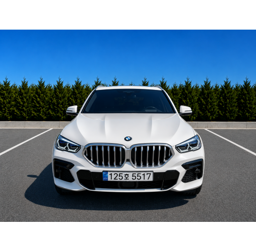 22년식 Bmw x6 30d