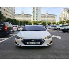 18년식 아반떼 (lpg) (월렌트)